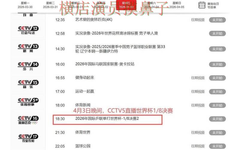 世界杯买球平台解析报告：高清直播+直播与实际体验总结 - 世界杯全球总决赛